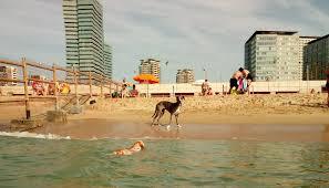 Playa de la Picordia
