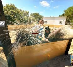 Centre Zoologic Lloc De Menorca