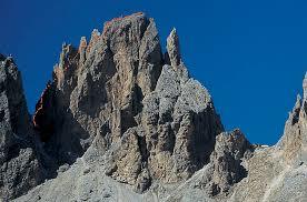 Fünffingerspitze
