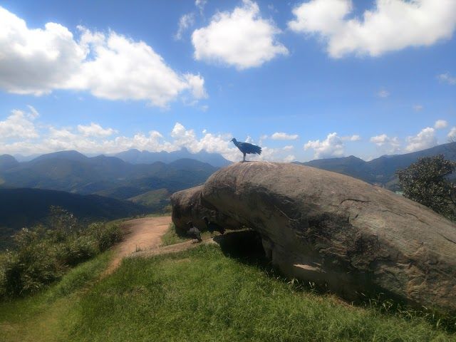Pedra da Tartaruga