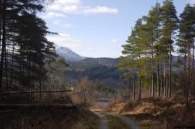 Loch Ard Forest