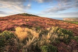 St Agnes Beacon