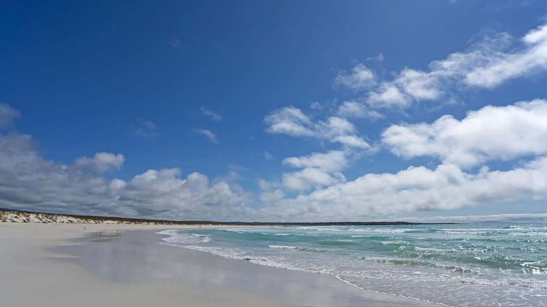 Tortuga Bay