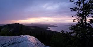 Koli