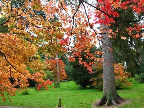 Westonbirt Arboretum
