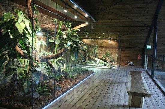 Reptile House Earth