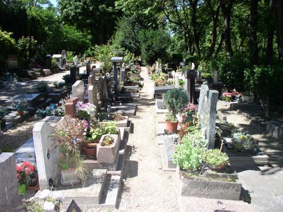 Cemetery of the Dogs