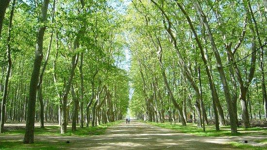Parc de la Devesa