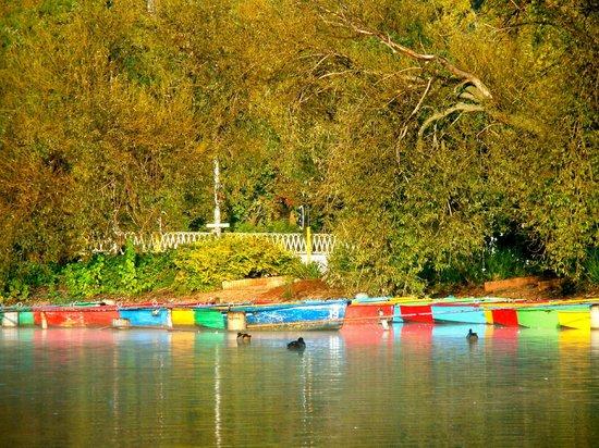 Zoo Lake Park