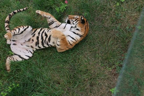 Hefei Wild-life Zoo