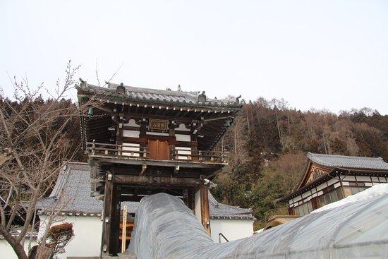 Otozan Onsenji Temple