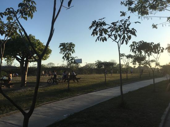 Parque Bicentenario