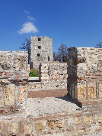 Castrul Roman Drobeta