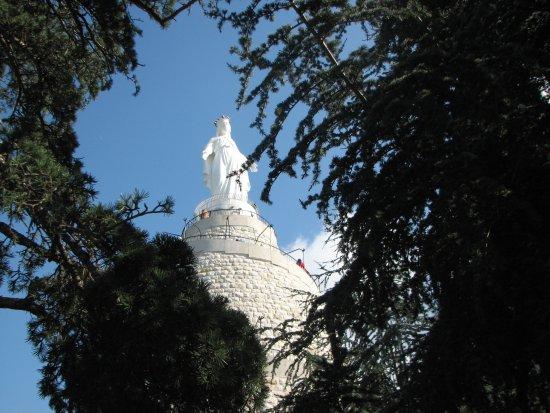 Bizim Leydi Harissa