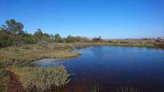 Ria Formosa Natural Park
