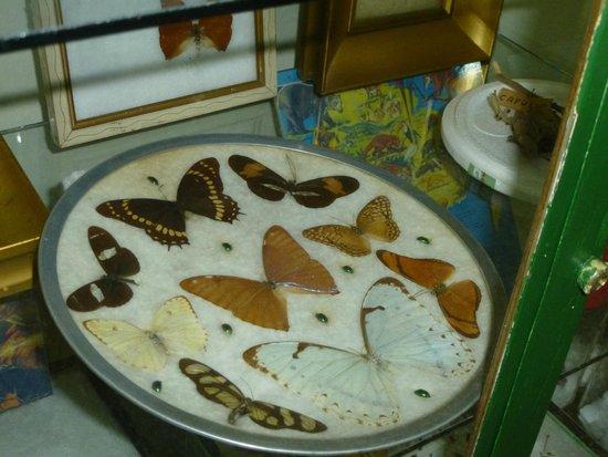 Fuerte Independencia Historical Museum