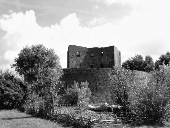 Ruine Teylingen