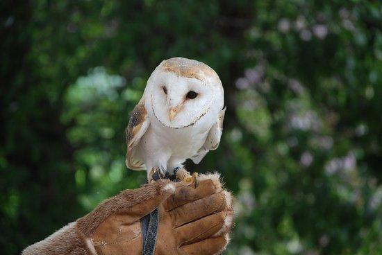 Musee de la Foire et de la Memoire