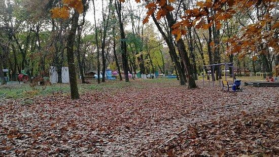 Bozdos'kyi park