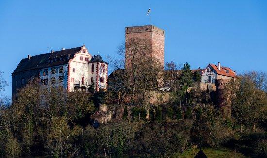 Burg und Burgpark Gamburg