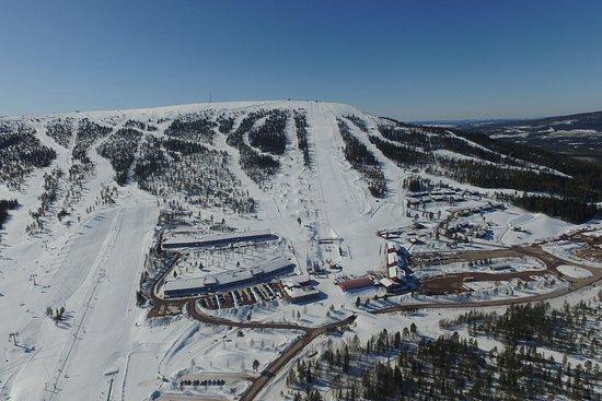 Stoten in Salen