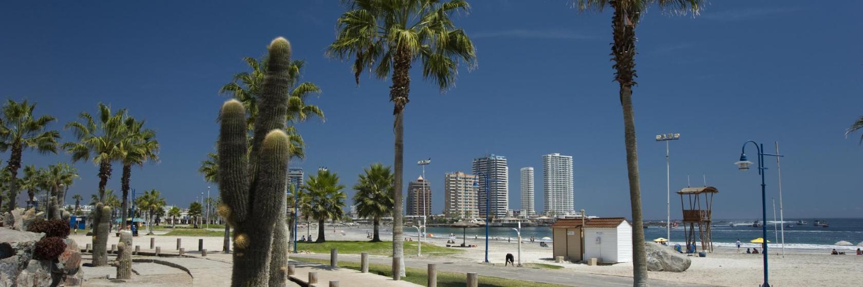 Playa Cavancha