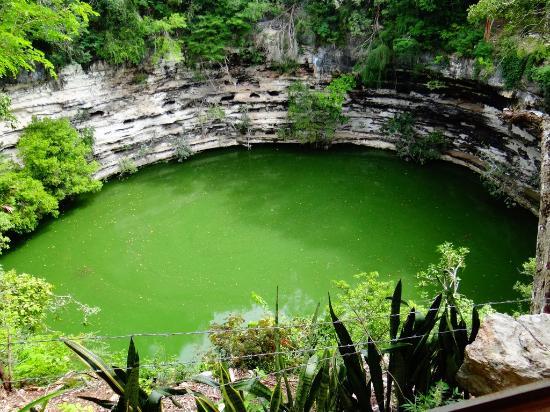 Sacred Cenote