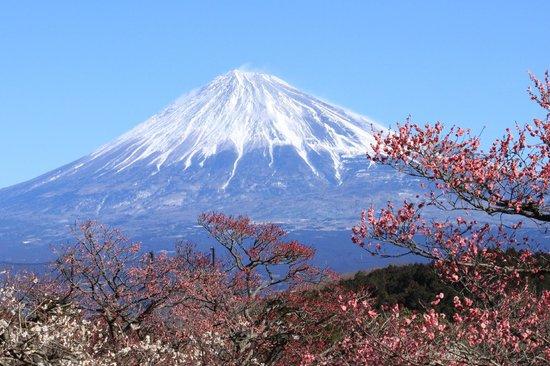 Parque Iwamotoyama