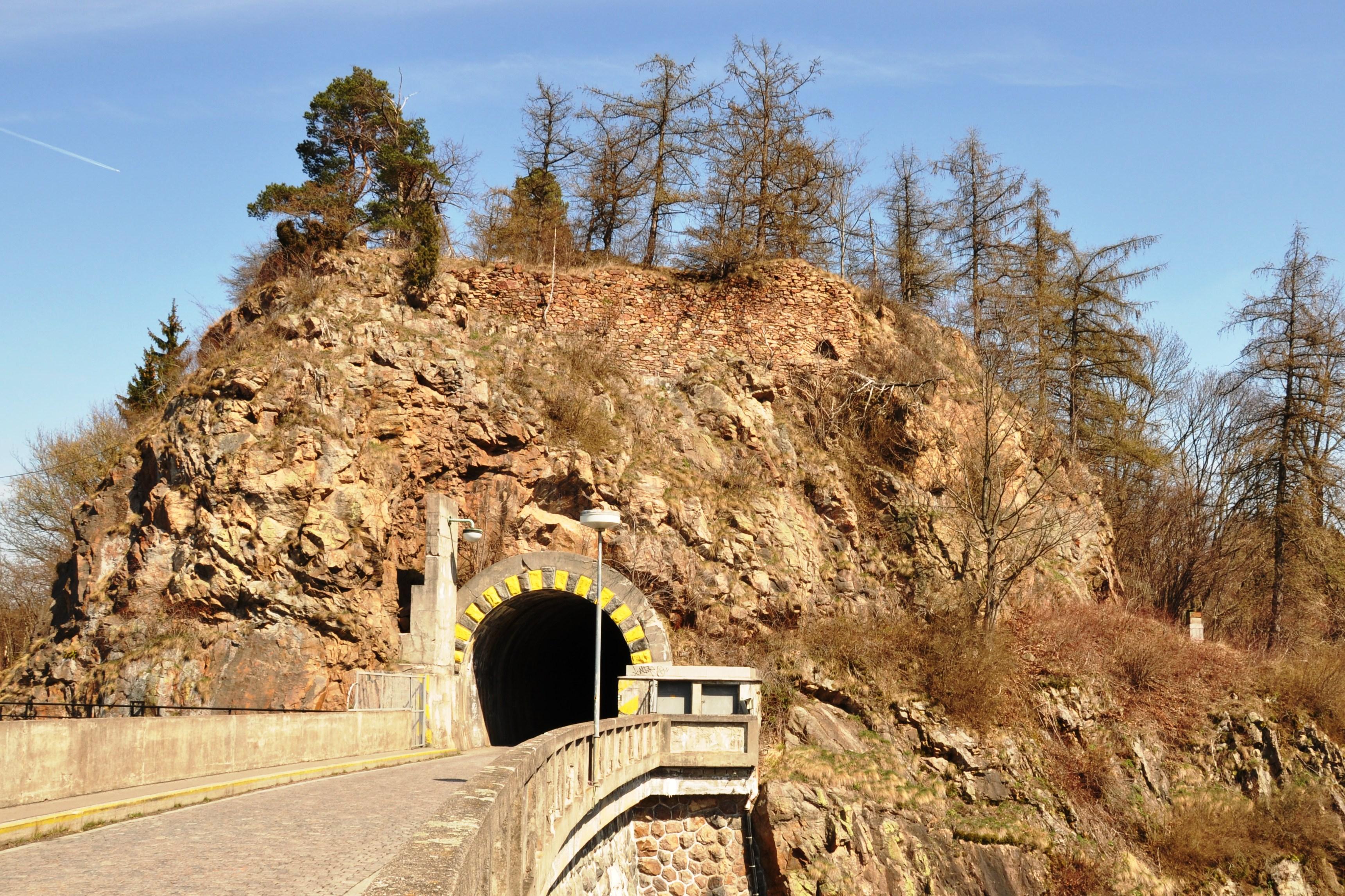 Wildenstein