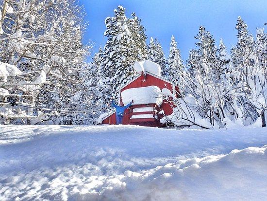 Truckee River Winery