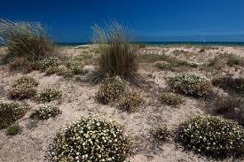 Giardino Botanico Mediterraneo