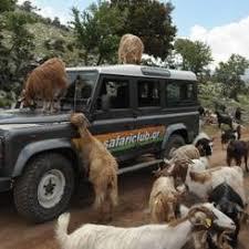 Safari Club Crete