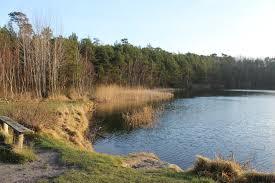 Safirsø