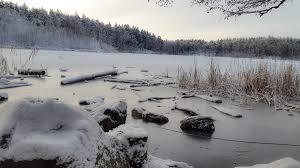 Judarskogen