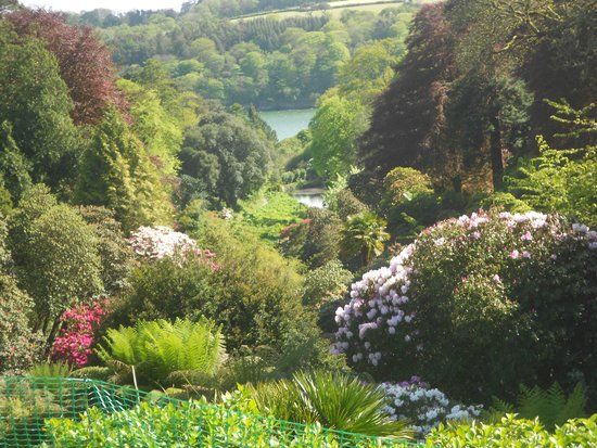 Trebah Garden
