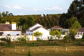 Dona Dorinda Organic Wines