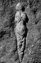 Abri Pataud