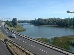 Winiary