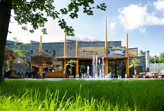 Niredźchaza Zoo