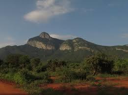 Taita Hills