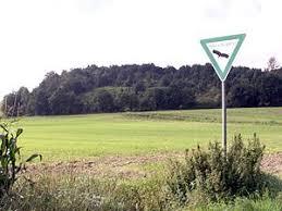 Kleiner Selberg