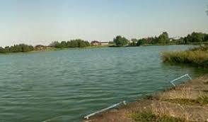 Zalew Wolbromski