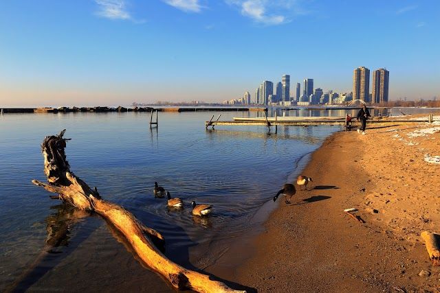 Sunnyside Beach