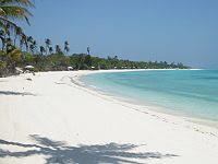Strand van Pamalican