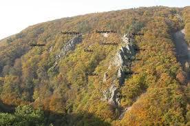 Morgenbachtal