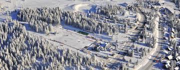 Rogla