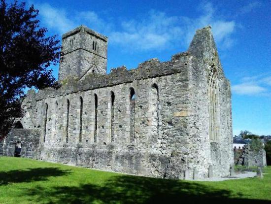 Sligo Abbey