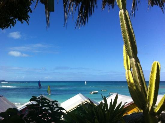 Mama's Fresh Homemade Pasta