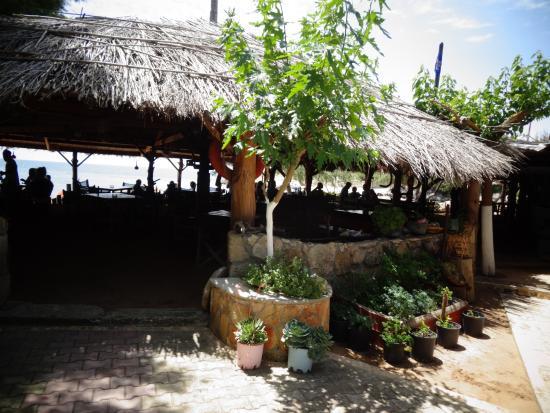 Vatsa spiaggia