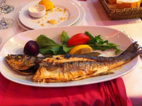 Kalamar Restaurant